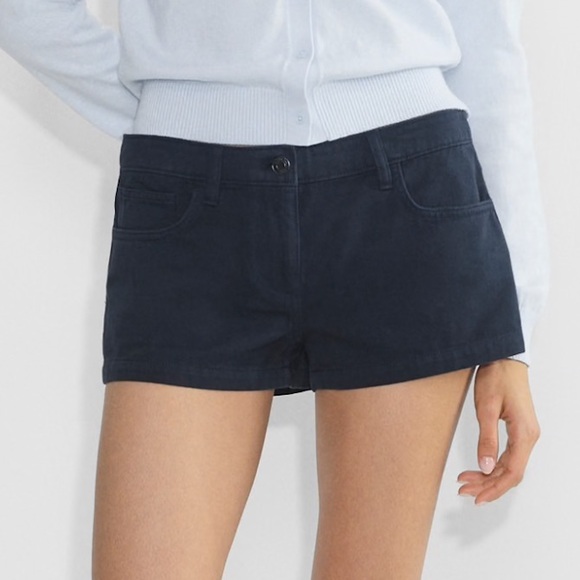Aritzia Pants - Aritzia Superlative Short